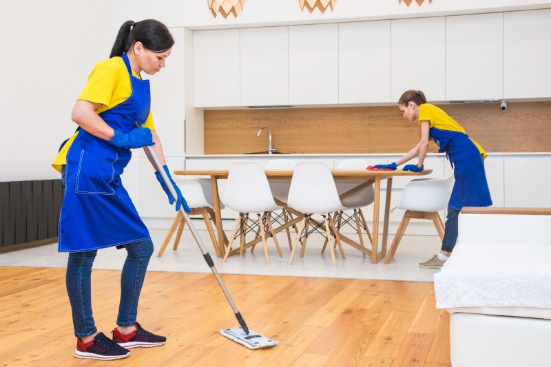 Hardwood Cleaning Pros